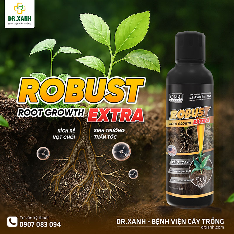 Robust Extra 500ml Kích Rễ Vọt Chồi