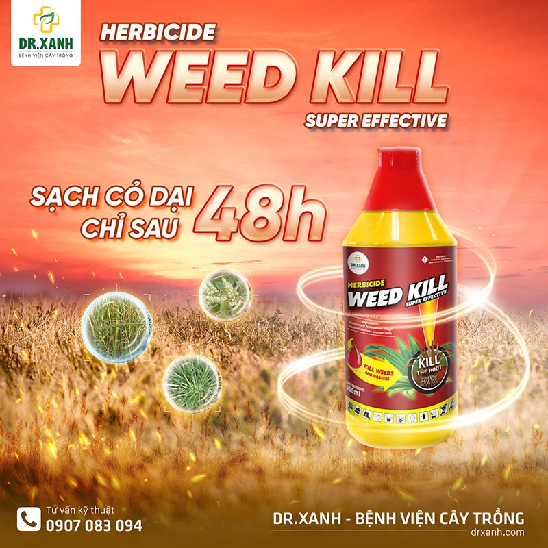 Weed Kill 200 900ml Trừ Cỏ Phổ Rộng